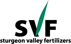 svf color with text